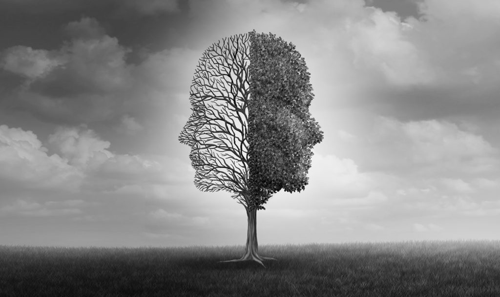 A tree in the shape of two faces back to back; the side of the tree on the left is without leaves, and the side on the right is full of leaves. The image is in black and white.